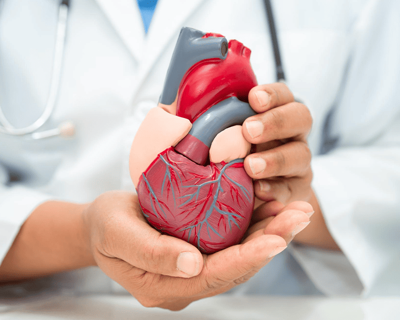 Información sobre <strong>Costo de Ablation</strong> <strong>Cardíaca</strong>