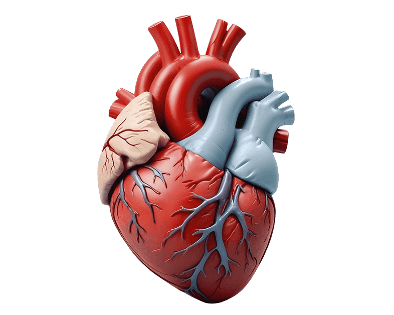 <strong>Ecografista</strong> <strong>cerca de Migración</strong> <strong>Colombia</strong>