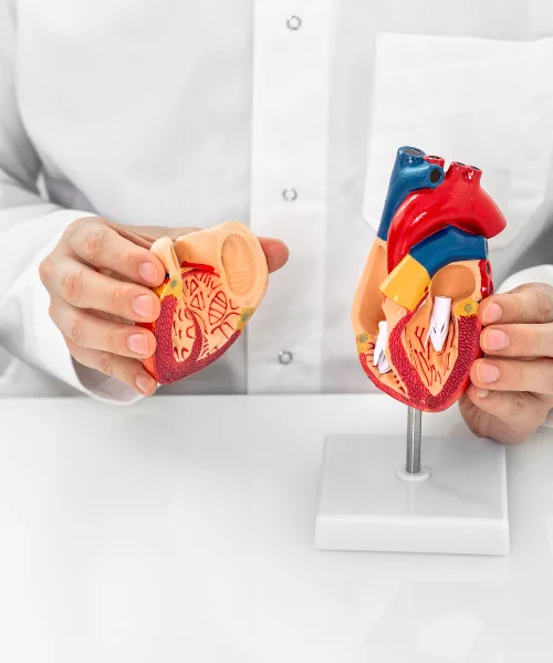 Diagnóstico y manejo especializado de la pericarditis en Medellín